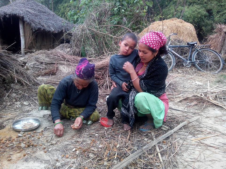 हात्तीले भत्काएको बास बनाउन नसक्दा खुल्ला आकाशमुनि रात